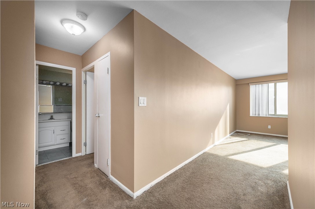 12520 Edgewater Drive Lakewood OH 44107