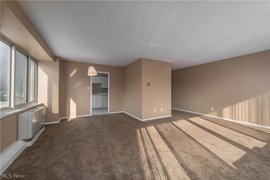 12520 Edgewater Drive Lakewood OH 44107
