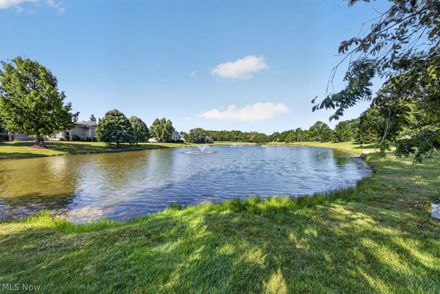 10885 Pepper Court Painesville OH 44077