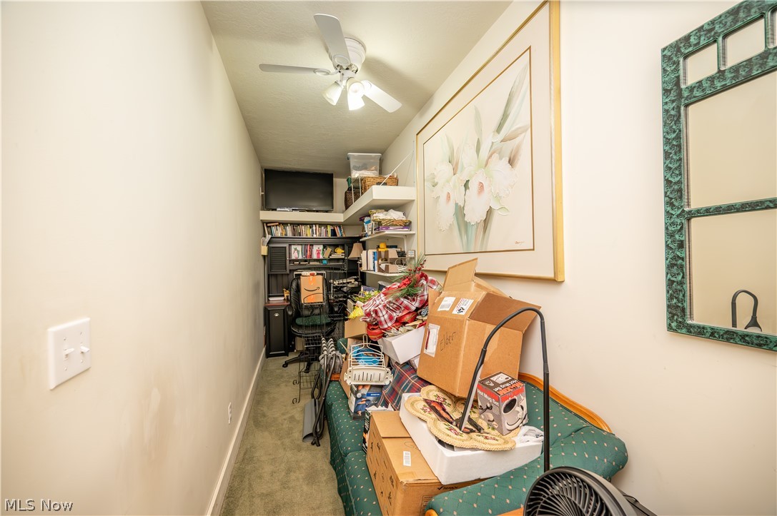 168 Wilcox Road Austintown OH 44515