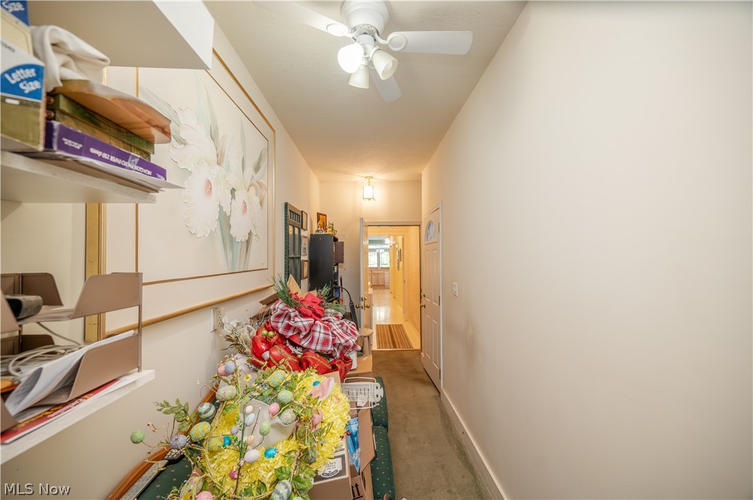 168 Wilcox Road Austintown OH 44515