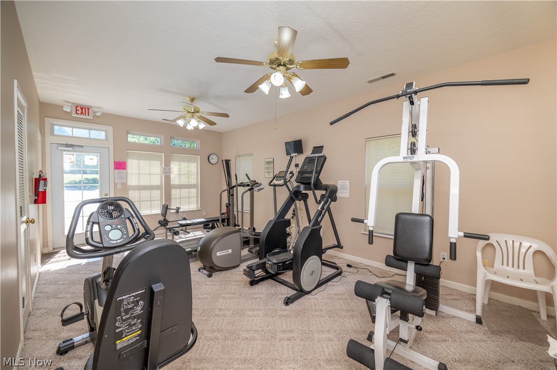 168 Wilcox Road Austintown OH 44515