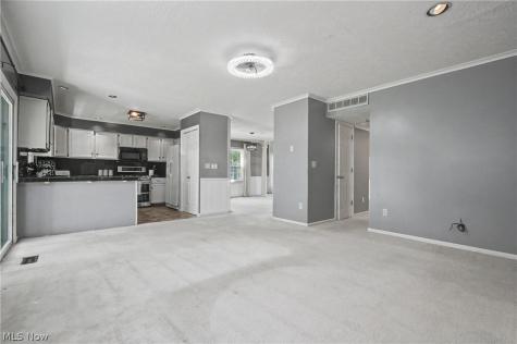 1565 Windrow Lane Broadview Heights OH 44147