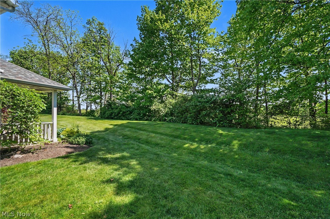 1565 Windrow Lane Broadview Heights OH 44147