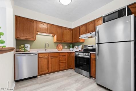 1105 Windmill Way N Avon OH 44011