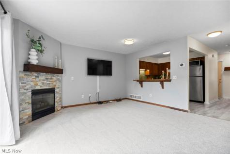 1105 Windmill Way N Avon OH 44011