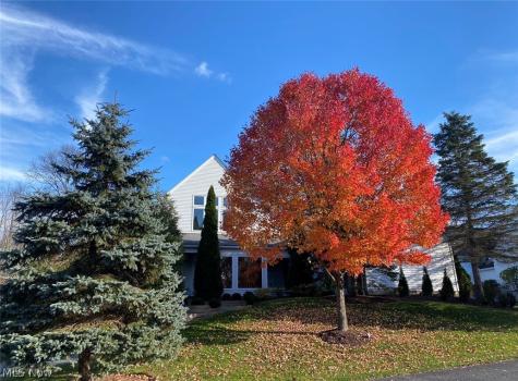 279 Tinkers Trail Aurora OH 44202