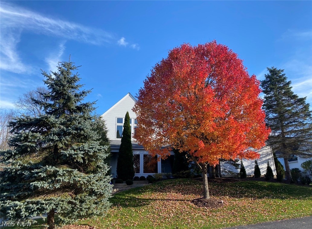279 Tinkers Trail Aurora OH 44202