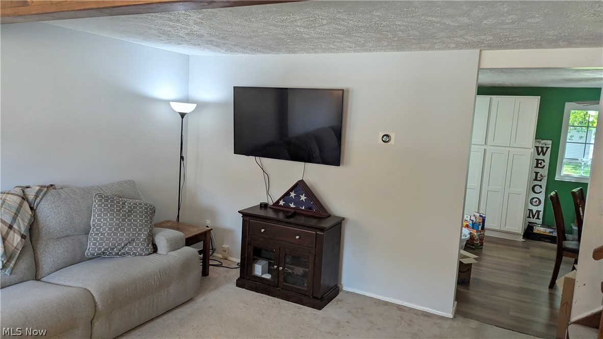 7376 Willow Run Drive Mentor OH 44060