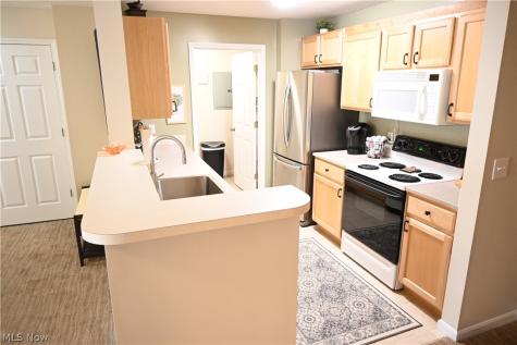 3395 Lenox Village Drive Fairlawn OH 44333