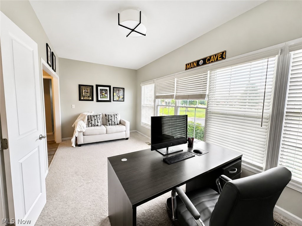 4300 Westford Place Canfield OH 44406