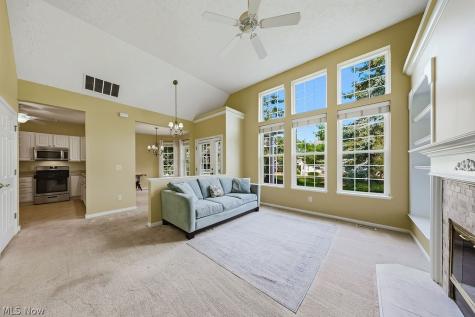 4 Whitaker Cove Avon Lake OH 44012