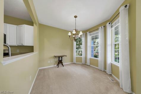 4 Whitaker Cove Avon Lake OH 44012