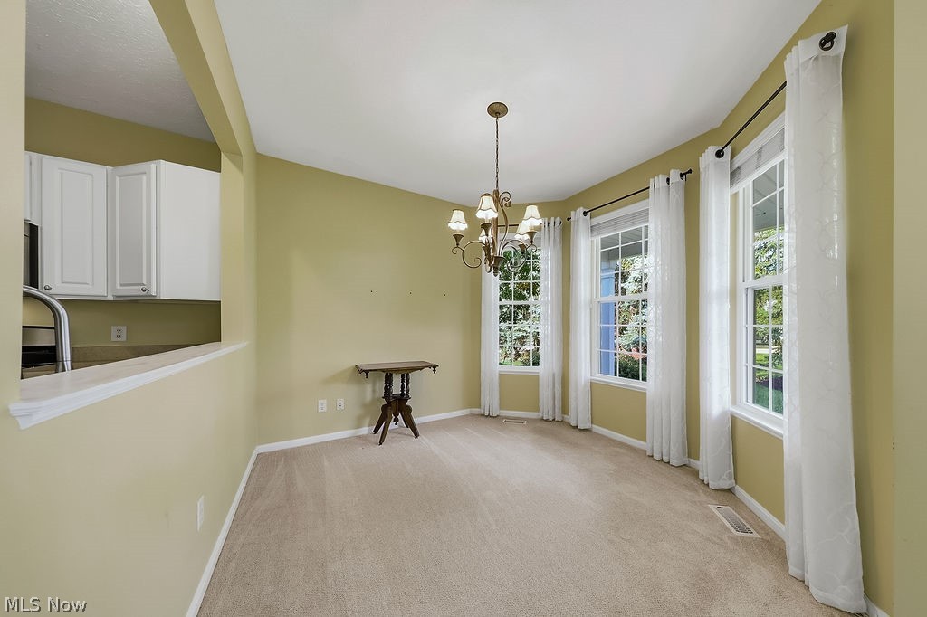 4 Whitaker Cove Avon Lake OH 44012