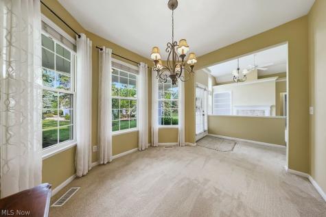 4 Whitaker Cove Avon Lake OH 44012