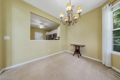 4 Whitaker Cove Avon Lake OH 44012