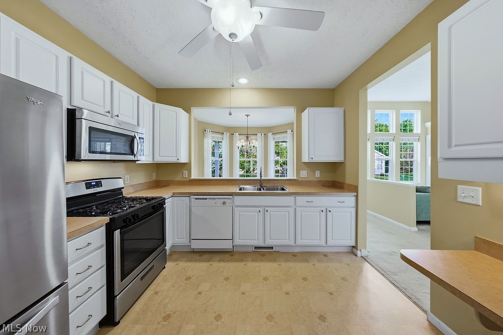 4 Whitaker Cove Avon Lake OH 44012
