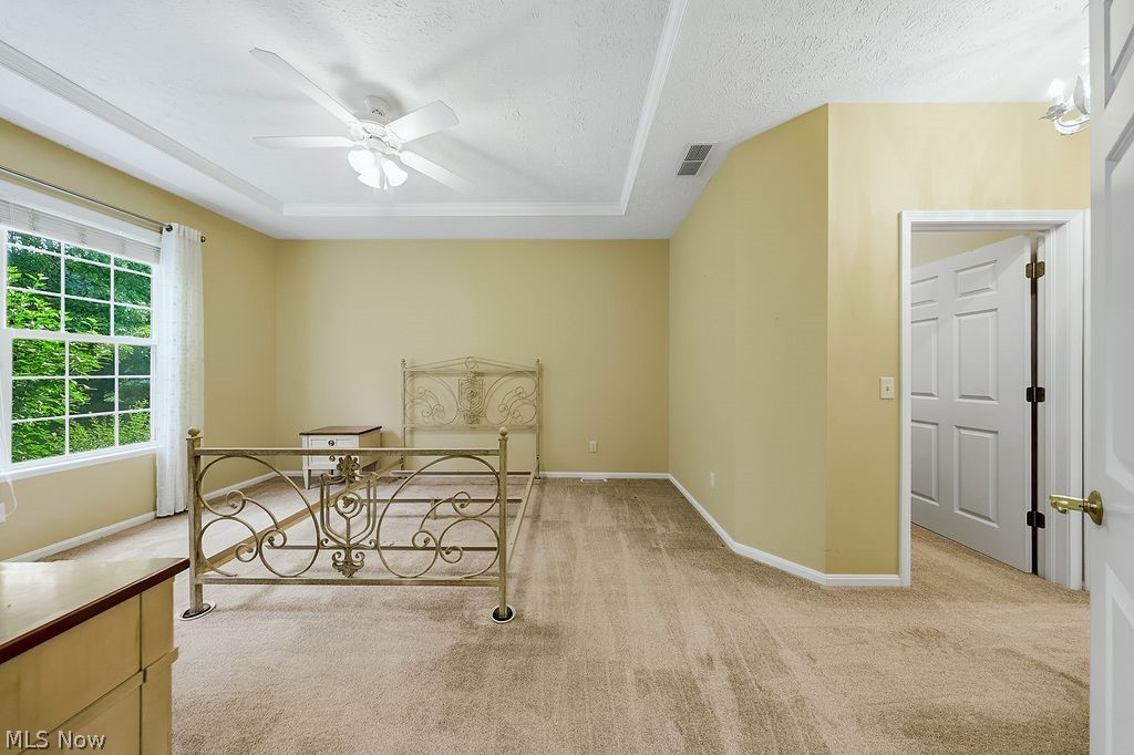 4 Whitaker Cove Avon Lake OH 44012