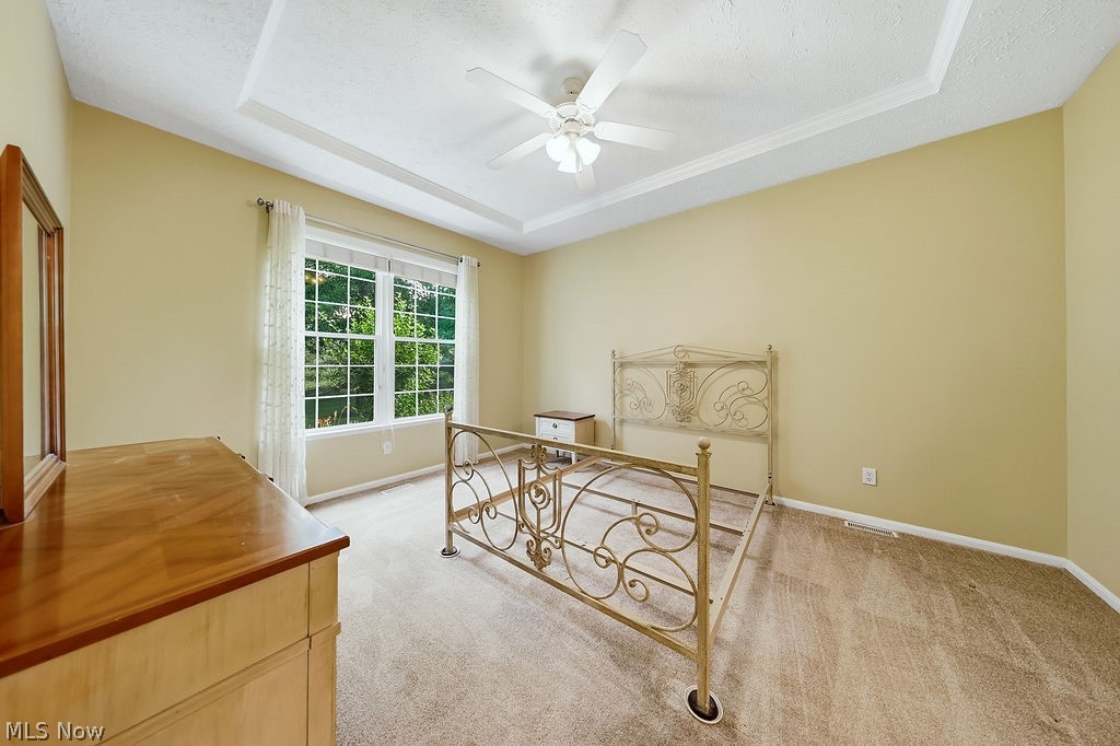 4 Whitaker Cove Avon Lake OH 44012