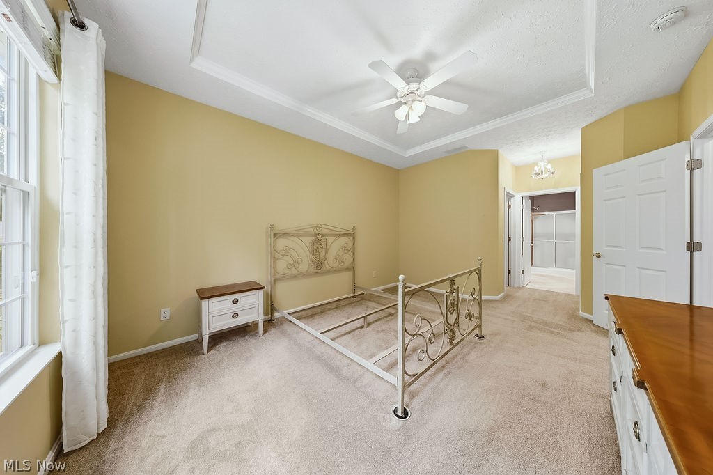 4 Whitaker Cove Avon Lake OH 44012