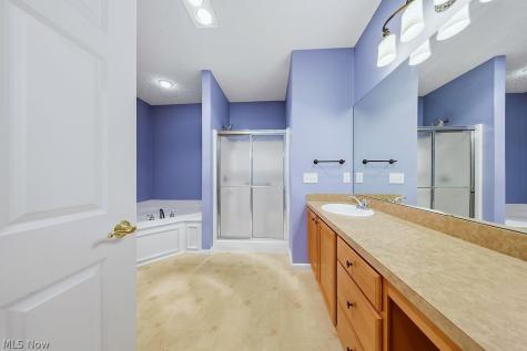 4 Whitaker Cove Avon Lake OH 44012