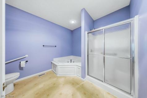 4 Whitaker Cove Avon Lake OH 44012