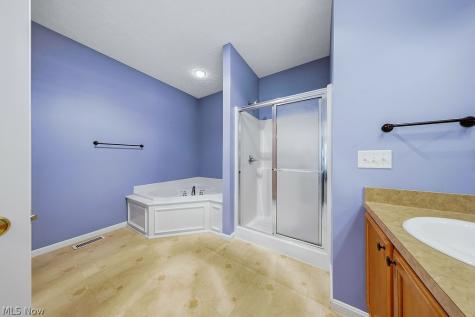 4 Whitaker Cove Avon Lake OH 44012