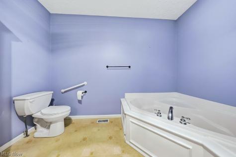 4 Whitaker Cove Avon Lake OH 44012