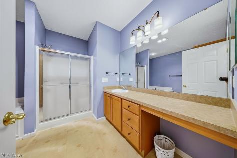 4 Whitaker Cove Avon Lake OH 44012