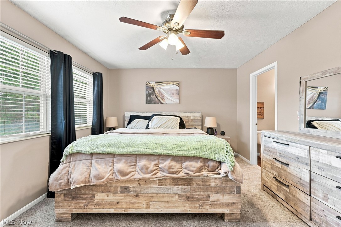 6953 Tippecanoe Road Canfield OH 44406