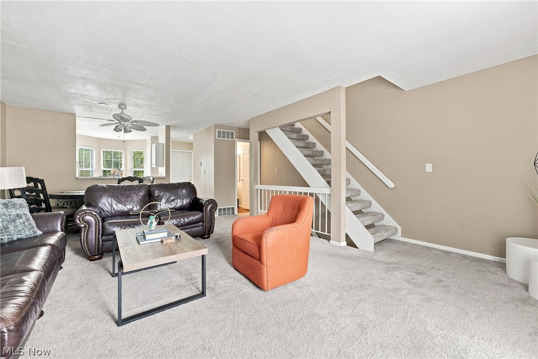 6953 Tippecanoe Road Canfield OH 44406