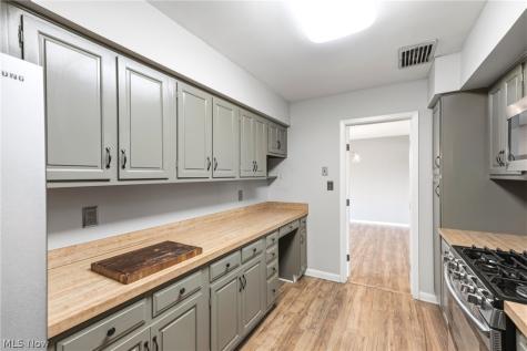 2202 Acacia Park Drive Lyndhurst OH 44124