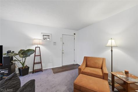 27069 Oakwood Circle Olmsted Twp OH 44138
