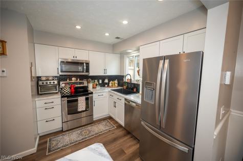 8276 Deepwood Boulevard Mentor OH 44060