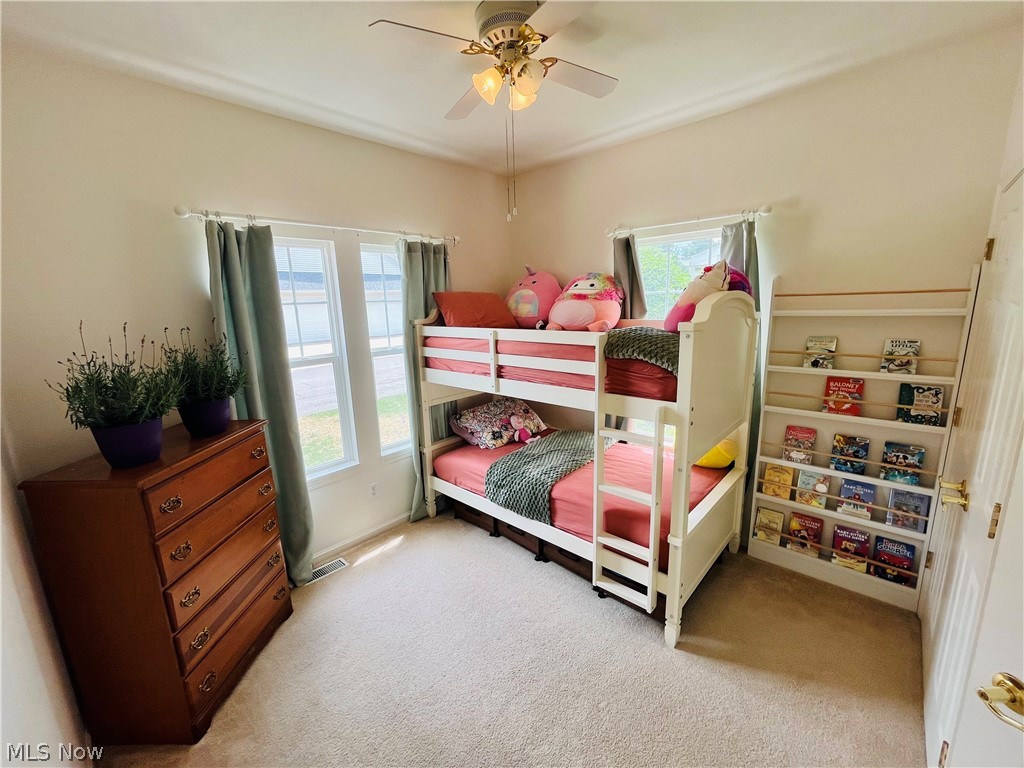 1205 E Mallard Drive Madison OH 44057