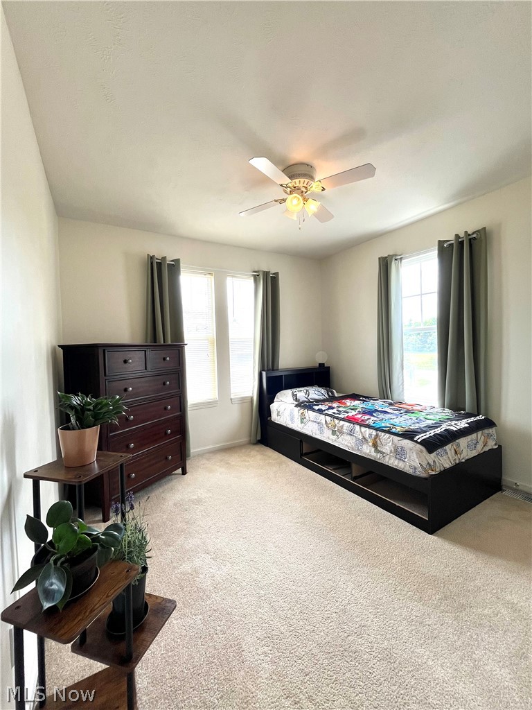 1205 E Mallard Drive Madison OH 44057