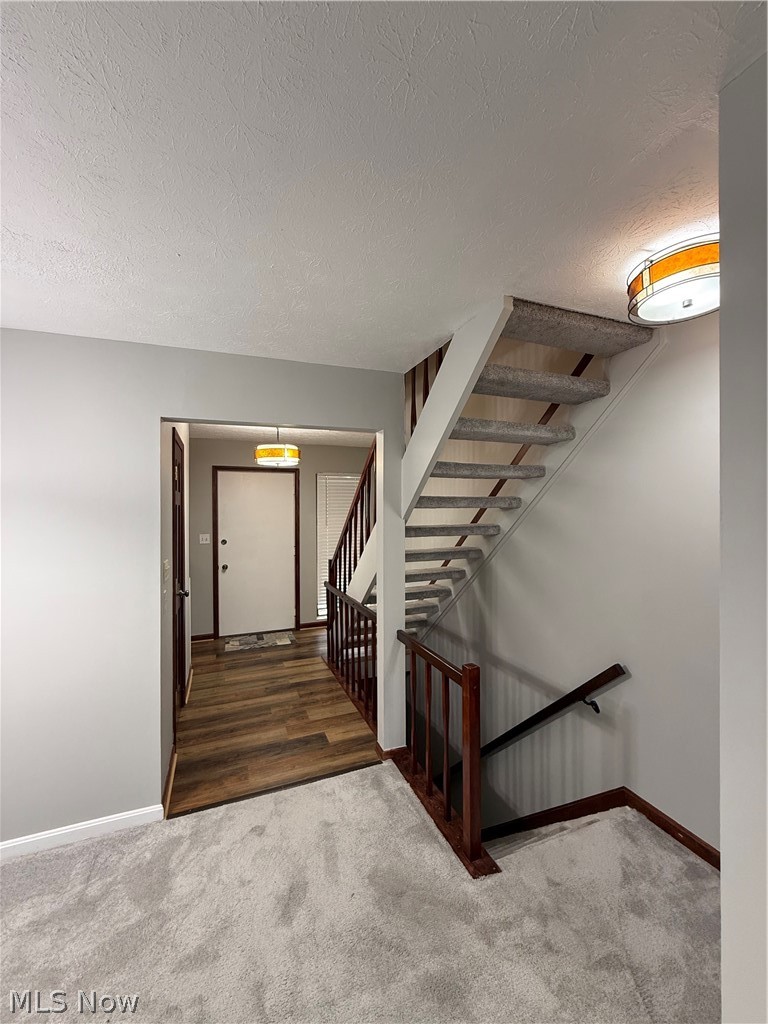 569 Bartow Lane Richmond Heights OH 44143