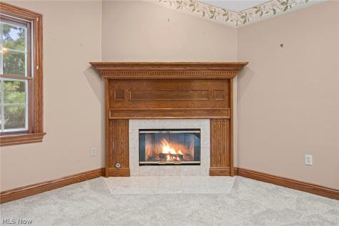441 Shannon Drive Wadsworth OH 44281