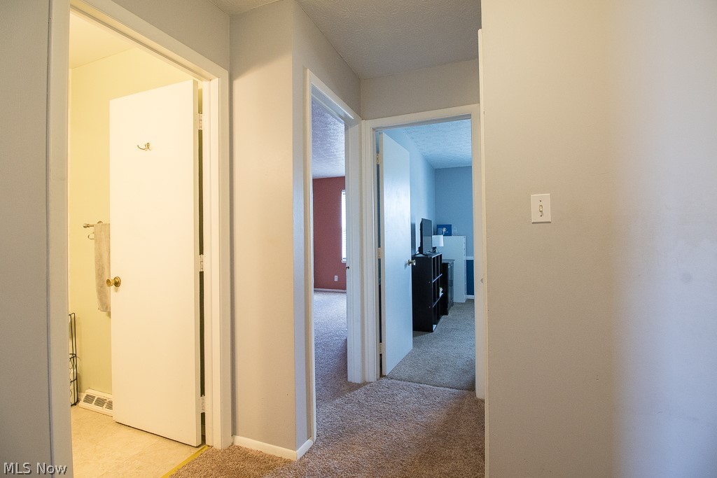8064 Puritan Drive Mentor OH 44060