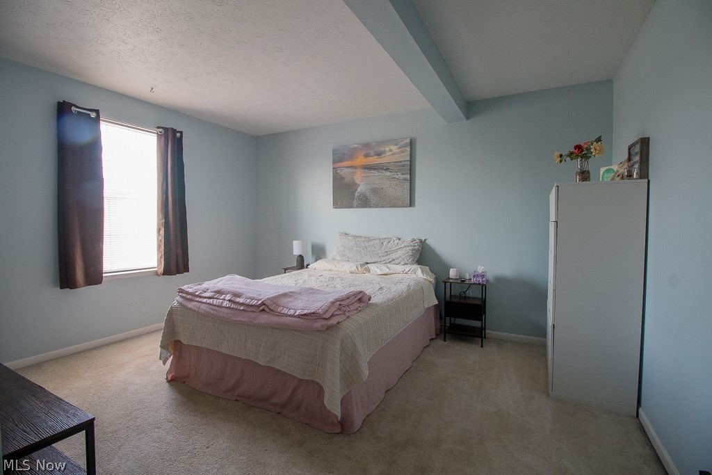 8064 Puritan Drive Mentor OH 44060