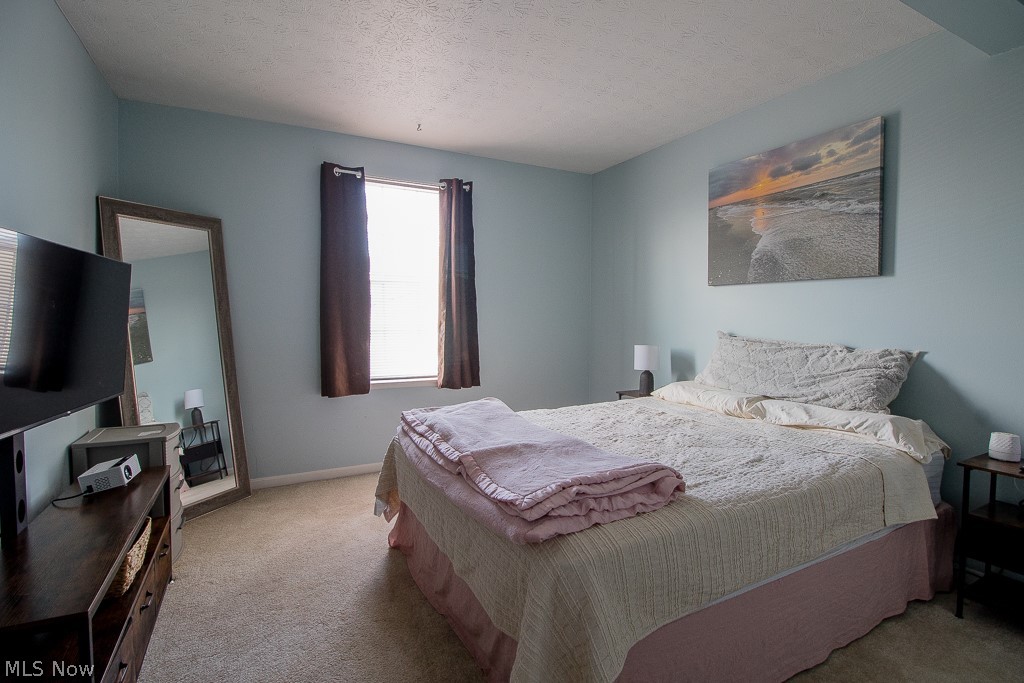 8064 Puritan Drive Mentor OH 44060