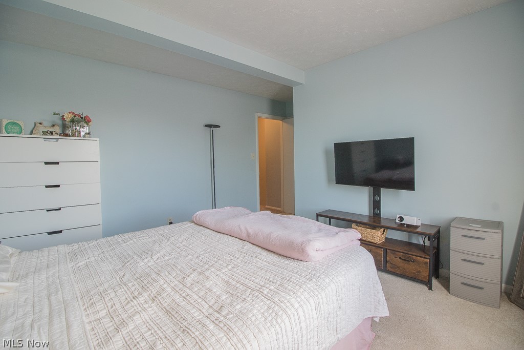 8064 Puritan Drive Mentor OH 44060