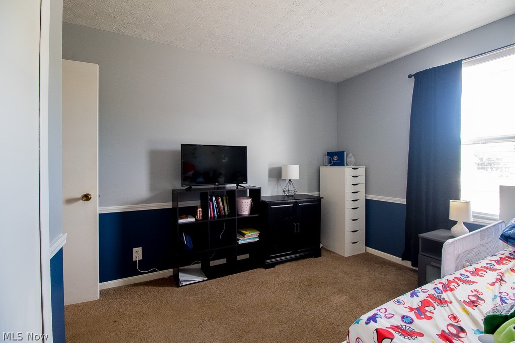 8064 Puritan Drive Mentor OH 44060