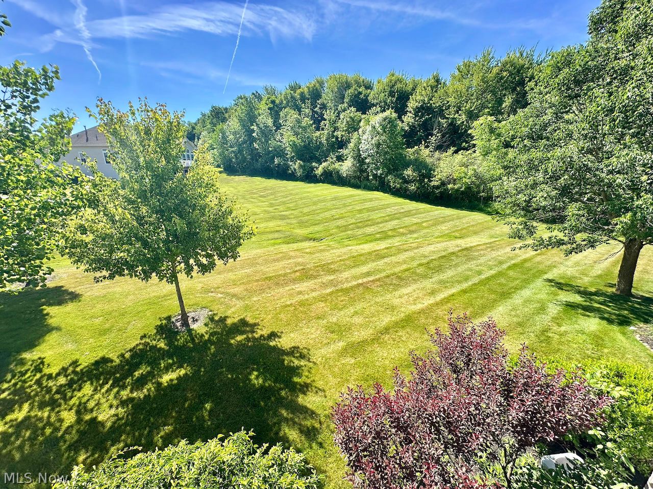 7300 Forest Cove Lane Northfield OH 44067