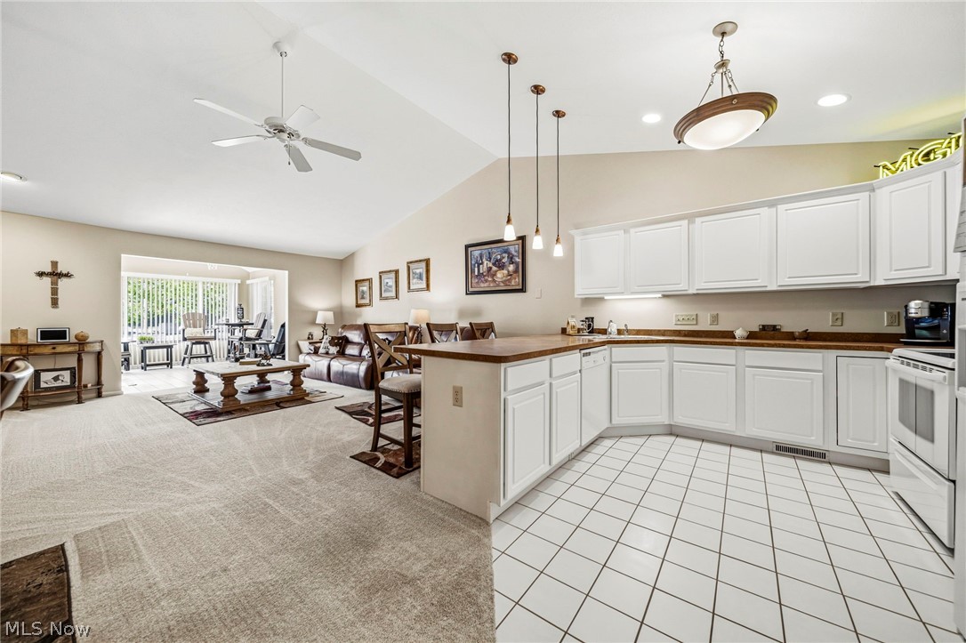 610 Hidden Harbor Drive Fairport Harbor OH 44077