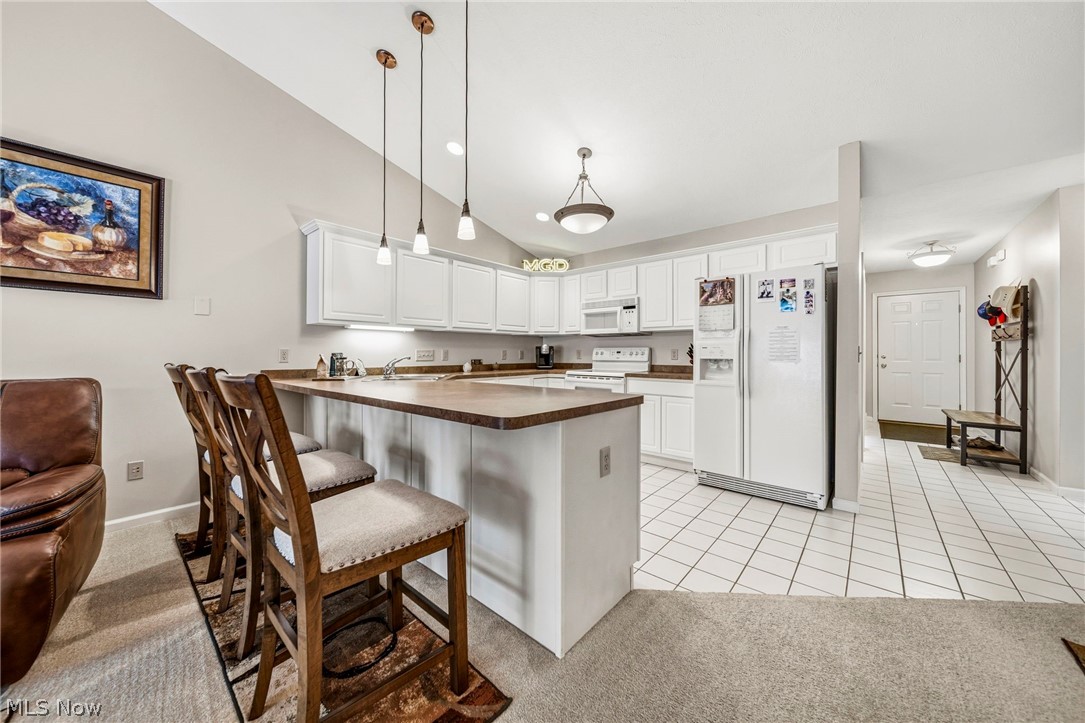 610 Hidden Harbor Drive Fairport Harbor OH 44077