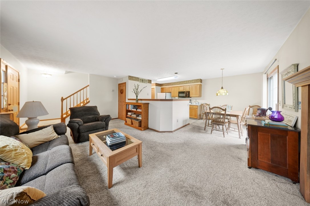 23174 Grist Mill Court Olmsted Falls OH 44138