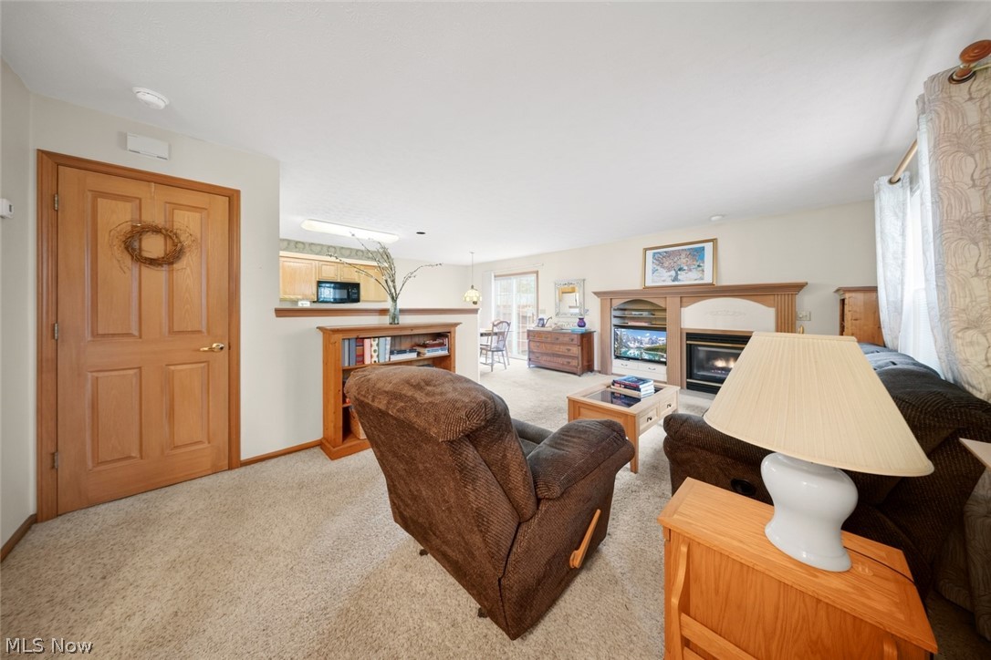23174 Grist Mill Court Olmsted Falls OH 44138