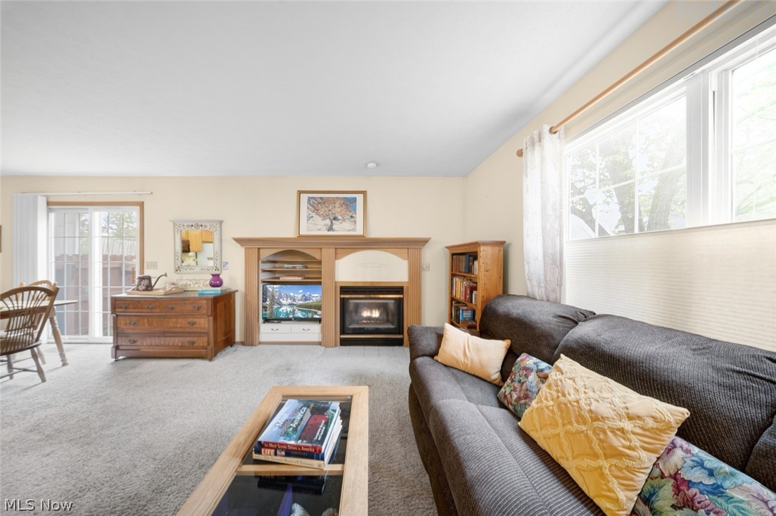 23174 Grist Mill Court Olmsted Falls OH 44138