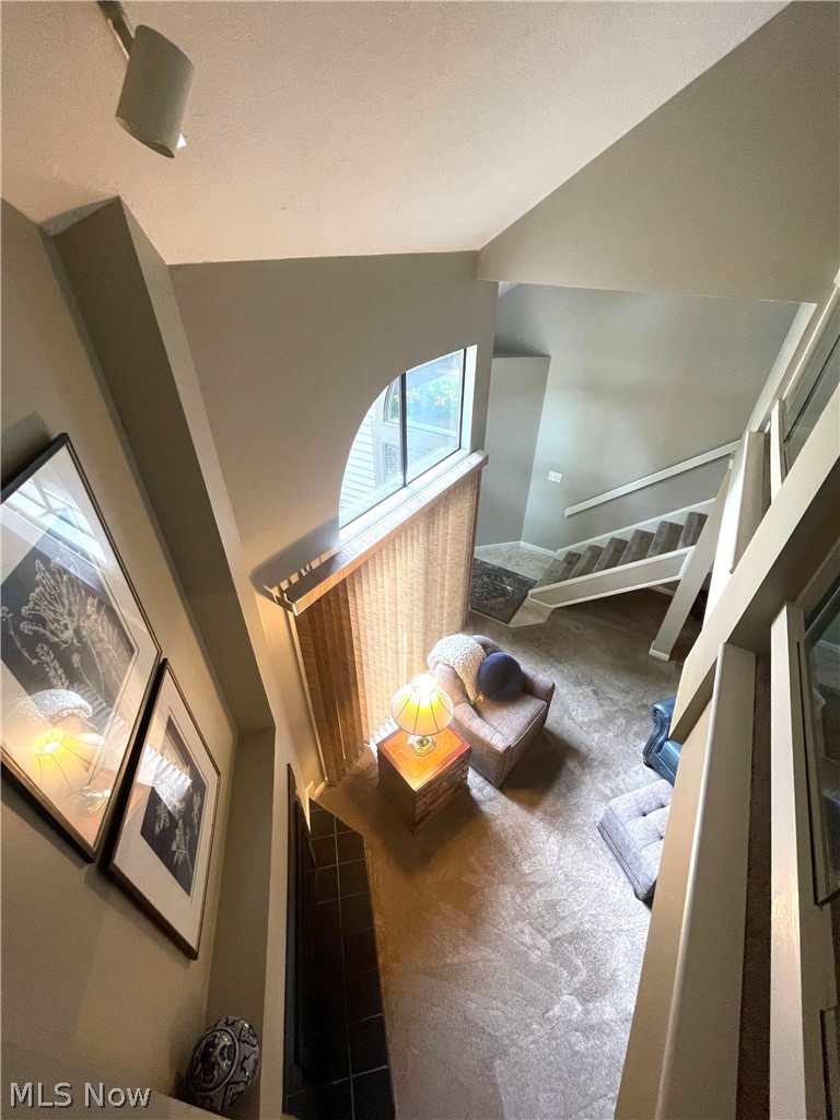 1153 Red Tail Hawk Court Youngstown OH 44512